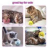 DILISS Cat Toys, Interactive Cat Toy for Indoor Cats, Catnip