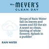Mrs. Meyer's Moisturizing Body Wash for Women and Men, Biodegradable