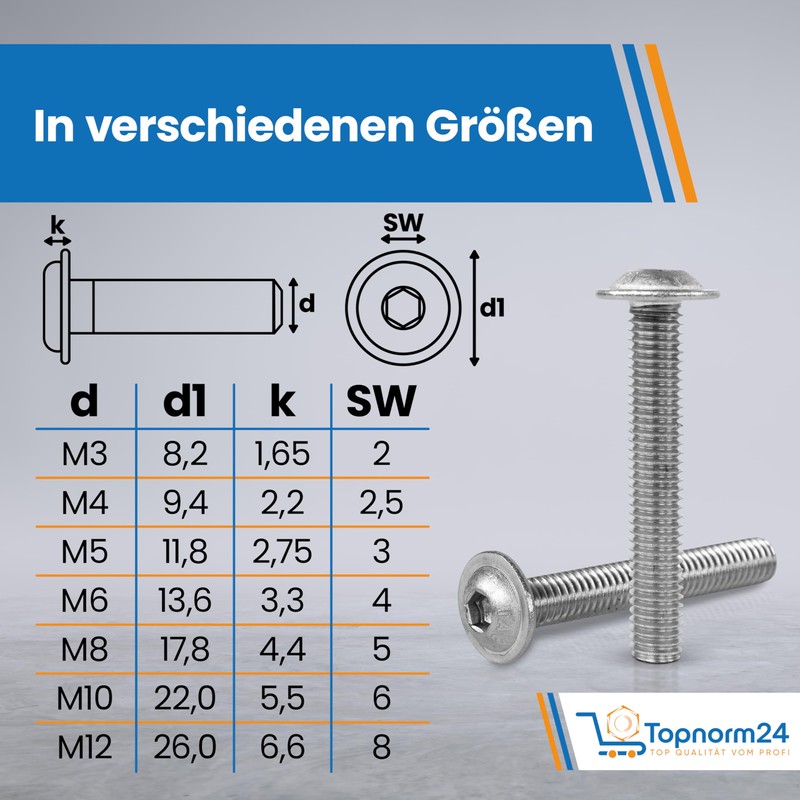 Topnorm24 - M5 x 25 (20 pieces) pan head screws