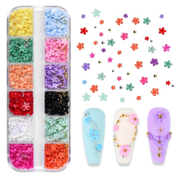 3D Dry Flowers Nail Stickers,2boxes Colorful Natural Real Flower Nail