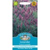 Mr Fothergill's 23939 Flower Seeds, Lavender French