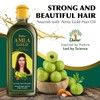 Dabur 암라 골드 헤어 오일 300ml [Emblica] Dabur Amla Gold