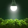 Briignite Full Spectrum LED Grow Light Bulbs, A19 Shape, E26