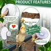 2 Pcs Natural Bird Perch Stand with Suction Cup Window