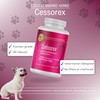 Cessorex Allergy Relief and Skin Immune Function Support Supplement for