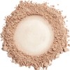 Demure Mineral Make Up Eye Shadow (Taupe), Matte Eyeshadow, Loose