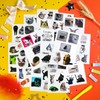 Pack of 100 Cat Meme Stickers, Cat Stickers, Cat Merch,
