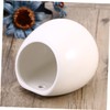 Totority 2pcs Hanging Ceramic Flowerpot for Wall Planters for Succulent