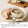 Takenaka T-26656 Dish Calm Dish, Square, Curry & Pasta, Made