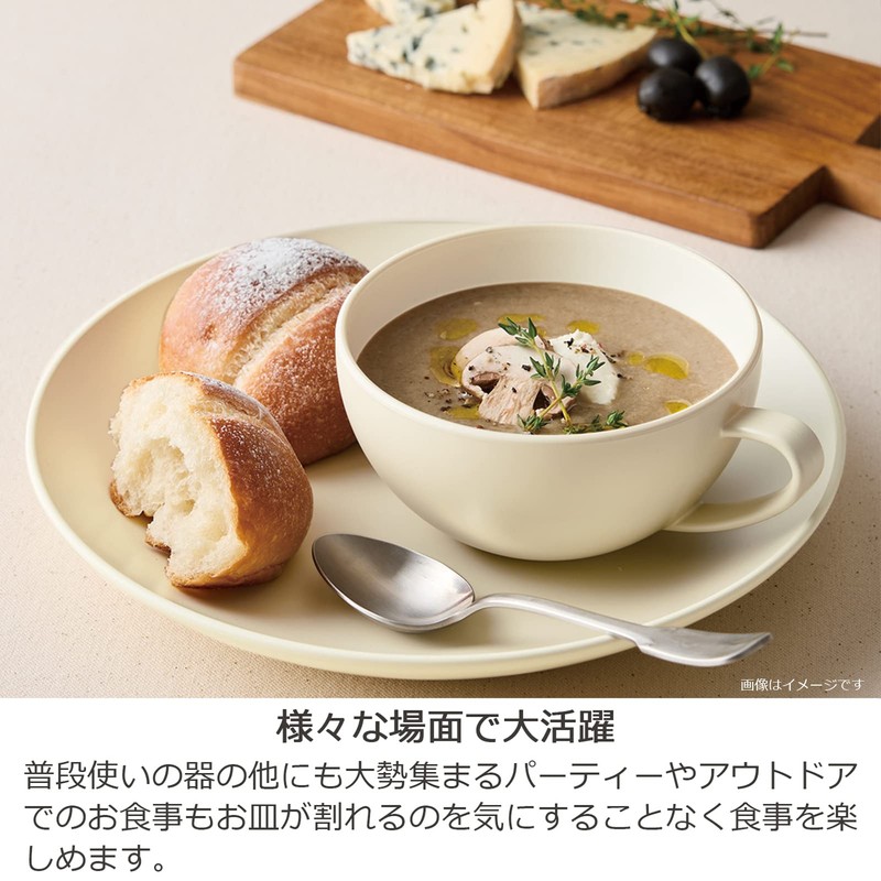Takenaka T-26656 Dish Calm Dish, Square, Curry & Pasta, Made