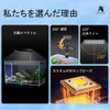 Aquarium Light, LED Light, Aquarium Light, Small Aquarium Lamp, Tropical