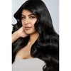 Paul Mitchell Awapuhi Wild Ginger Styling Treatment Oil, 1er Pack