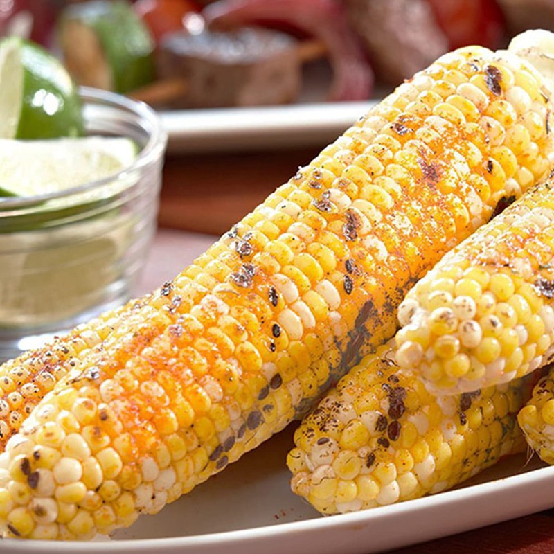 McCormick Culinary Traditional Seasoned Salt, 4.5 lb - One 4.5