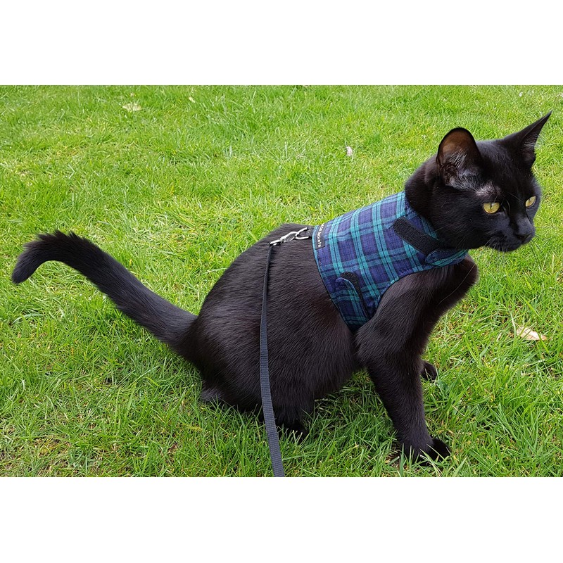 Mynwood Cat Jacket/Harness Black Watch Tartan Adult Cat