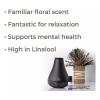 Plant Therapy Aceite Esencial Orgánico De Lavanda 10 Ml