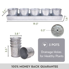 SCANDINORDICA Galvanized Metal Herb Planter, 5 Pots with Drainage Holes, Indoor Outdoor Use, Farmhouse Decor, 19.5x3.9x3.5 inches