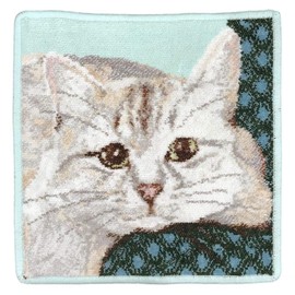 Mother's Day Fayler Handkerchief, Hand Towel, Towel Handkerchief, 9.8 inches (25 cm), White Cat, White Cat, White Cat, White Cat, Not Released in Japan