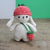 Hardicraft DIY Crochet Kit with Instructions and Material for Ilse