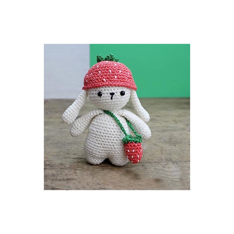 Hardicraft DIY Crochet Kit with Instructions and Material for Ilse