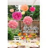 20 Pcs Paper Pom Poms Kit, Tissue Paper Flowers for