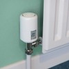 Hive Smart Heating Thermostatic Radiator Valve (TRV) with Smartphone Compatibility,
