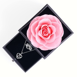Preserved Real Rose Enchanted Real Rose with Heart I Love You Necklace 100 Languages Gift Box,Preserved Flesh Flower Rose for Valentine's Day Anniversary for Her (Silver-S-Red) (Silver-S-Pink R)