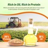 Outsidepride Soybean Seeds - 10 lbs High-Protein & High Yield