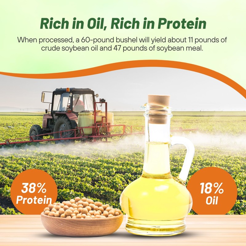 Outsidepride Soybean Seeds - 10 lbs High-Protein & High Yield