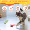 Mini Beetle, Pack of 2 Beetle Cat Toy, Electric Beetle