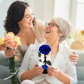 Rosas Reales Preservadas para Siempre, Regalos de Cumpleaños para Mamá y Mujeres, Flores Eternas Negras en Vaso, Regalos para San Valentín, Día de la Madre, Navidad y Aniversario