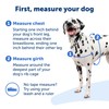 PetSafe Deluxe Easy Walk Dog Harness, Dog Harness for Medium-Size