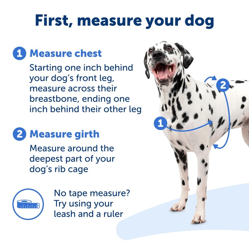 PetSafe Deluxe Easy Walk Dog Harness, Dog Harness for Medium-Size
