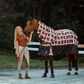 HORZE Chicago Protective Horse Tendon Boots - Lightweight Open Front Boots for Jumping, Trail Riding, and Turnout (Pair) - Black - Shetland