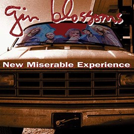 New Miserable Experience [LP] by Gin Blossoms [Vinyl]