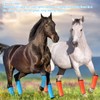 4Pcs Horse Fly Boots Breathable Comfortable Tear Resistant Fine Mesh