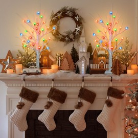 [ Timer ] Ruidazon 2 Pack Lighted Birch Tree, 26" Christmas Birch Tree with 24 Led Red Green Orange Blue Lights Battery Operated Small Christmas Table Tree for Home Christmas Indoor Decoration