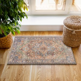 RugOver Machine Washable Area Rug, Pet-Friendly and Non-Slip Indoor Carpet for Kitchen, Bathroom, Living Room, Home Floor Decoration (Multicolor, 2' x 3')