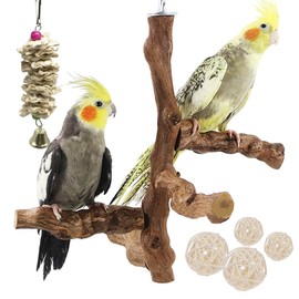 Allazone Pack of 4 Perches Birds, Natural Wood Perches Natural Grape Stick Perches for Birds, Birds Toy Bird Parrot Swing Toy (Style 6)