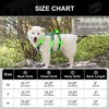 AKAILEA Small Dog Harness Escape Proof Dog Harness with Handle,
