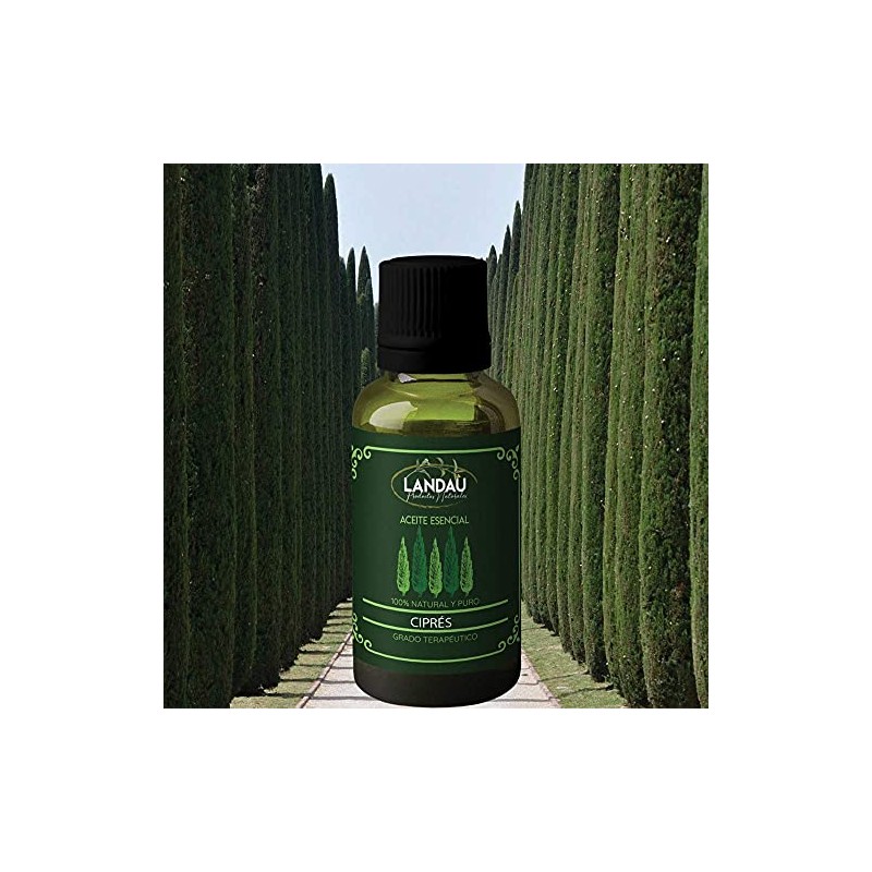 ACEITE ESENCIAL DE CIPRÉS 30 ML. GRADO TERAPEUTICO, puro natural