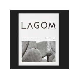 Lagom Aqua Cactus Mask Pack 27ml (5 sheets) / 라곰 아쿠아 캑터스 마스크팩 27ml (5매입)