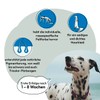 GRAU Original 100% Pure Seaweed Meal, for Fur Pigmentation, for