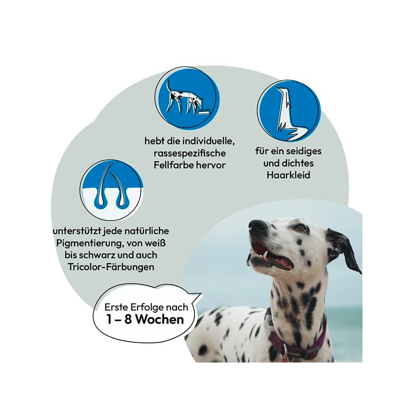 GRAU Original 100% Pure Seaweed Meal, for Fur Pigmentation, for