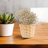 NUOBESTY 36Pcs Mini Woven Basket, Small Wicker Baskets Miniature Rattan