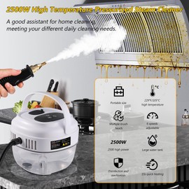 Foandbevi Steam Cleaner, 2500W Handheld Steam Cleaner with 3 Brush Heads, Portable Steam Cleaner with Multistage Temperature Control for Cleaning Oven, Furniture, Car, Glass, Floor and More