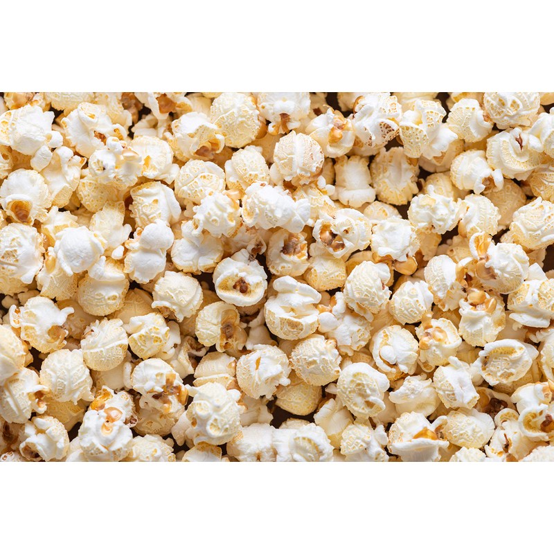 Concession Essentials Premium Gourmet Mushroom Extra Large Popcorn Kernels -