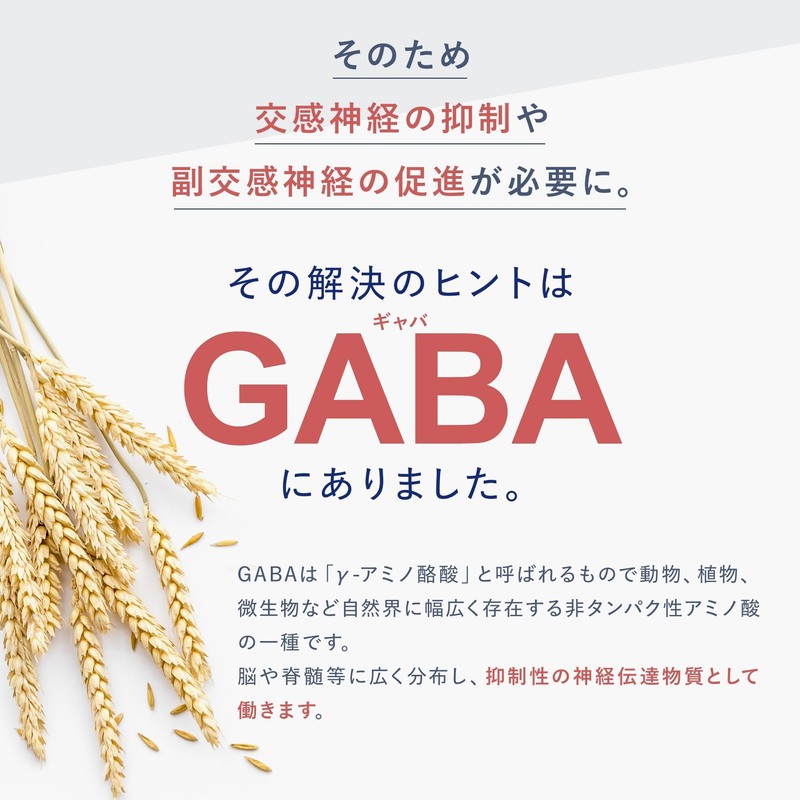 Vitabrid Daily GABA Renewal Sleep Supplement, 30 Day Supply, 30
