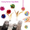 Fejapa 11 pcs Ferret Squeaky Toys Balls Squeaker Toys Teething