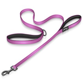 Reflective Nylon Dog Leash with Padded Double Handles, Heavy Duty Neoprene Handle for Control, Safety Training & Traffic, Extra Small - Small (5/8" Width, Purple)