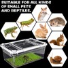 10 PCS Reptile Feeding Box, Isopod Enclosure Plastic Terrarium, Reptile